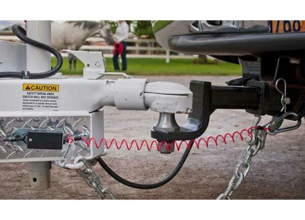 Fastway ZIP Breakaway Cable with Switch Box - 6' Length • 80-00-2060 - Image 2