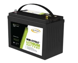 Solar Panel Batteries